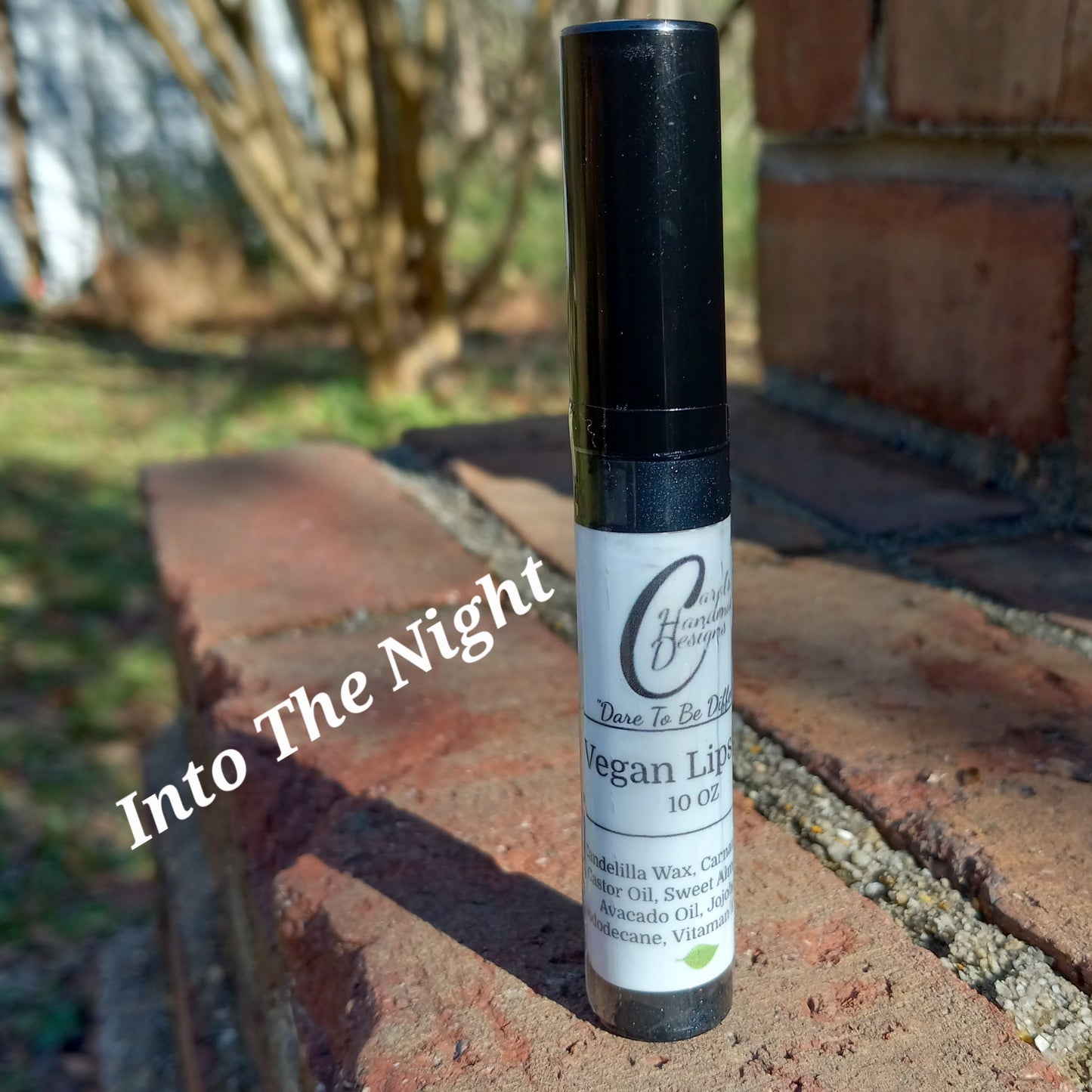 INTO THE NIGHT